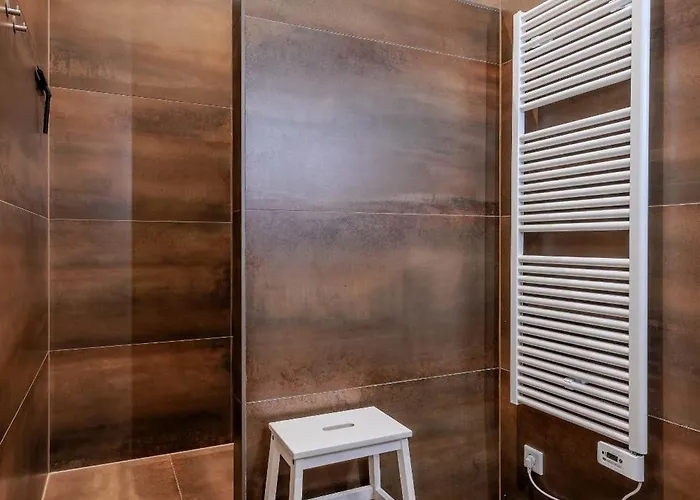 Cleyn Cruysenborgh 1531 3* 도르드레흐트