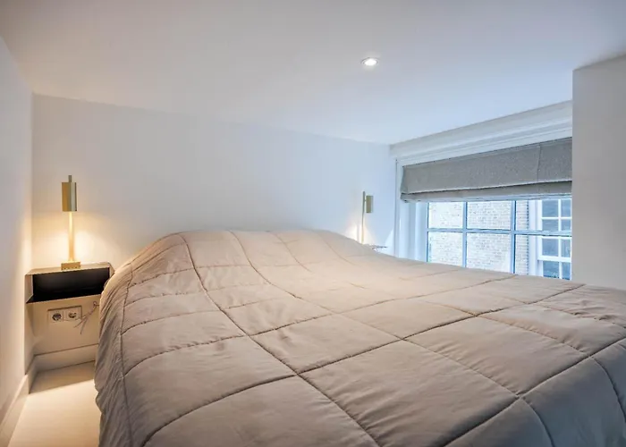 Cleyn Cruysenborgh 1531 3* 도르드레흐트